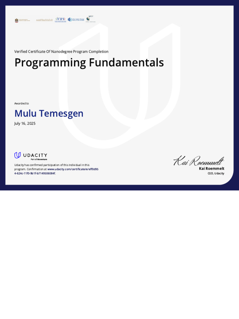 Verified Programming Fundamentals Certificate | PDF