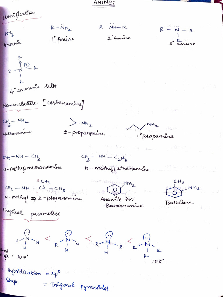 Amines Handwritten Notes | PDF