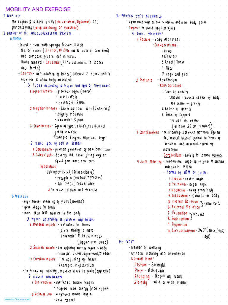 Mobility and Exercise Fundamentals | PDF | Anatomical Terms Of Motion ...
