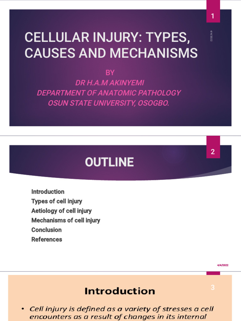 Types and Mechanisms of Cellular Injury | PDF | Mitochondrion ...