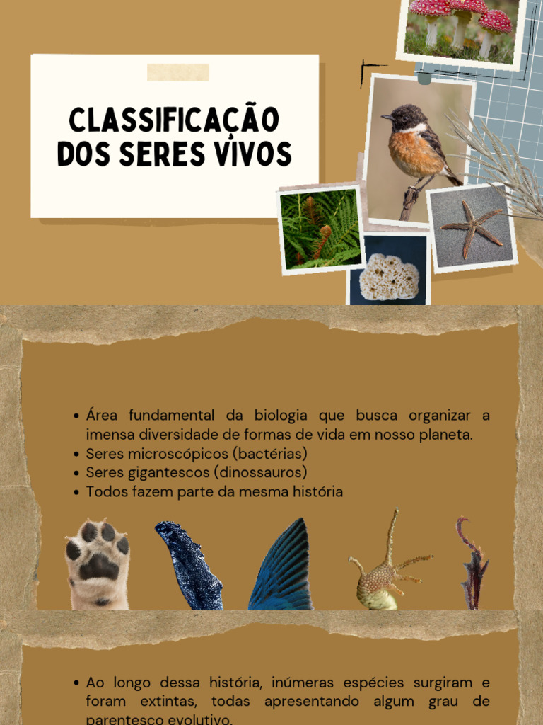 Classificação dos Seres Vivos e Evolução | PDF | Taxonomia (Biologia ...