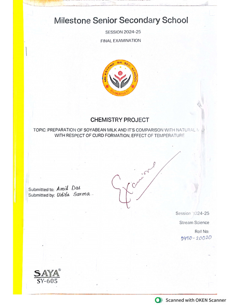 Chemistry Project - Class 12 | PDF