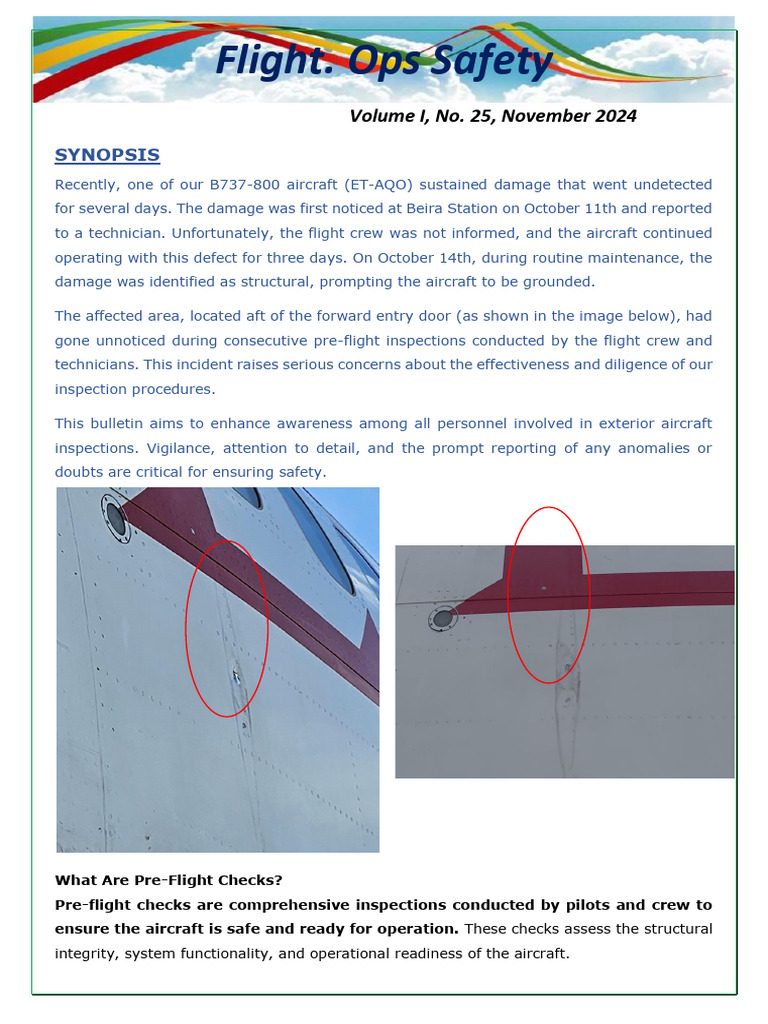 Pre-Flight Inspection Safety Protocols | PDF | Leak | Landing Gear