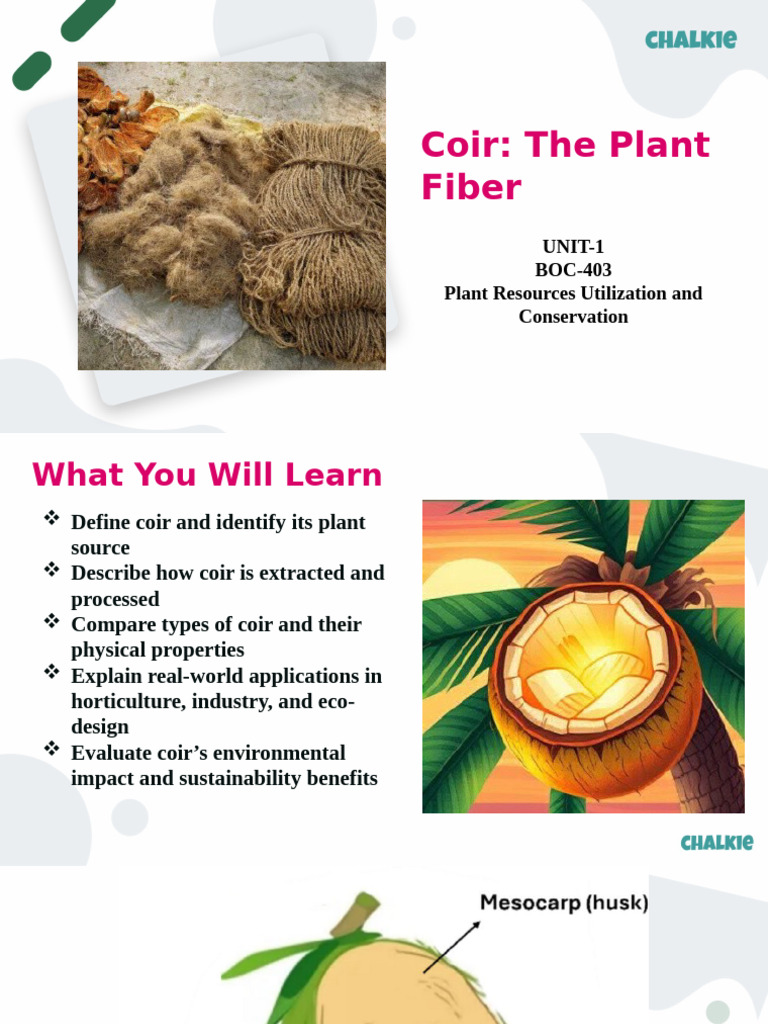 Coir Fiber: Extraction, Properties, Uses | PDF | Coconut | Fibers