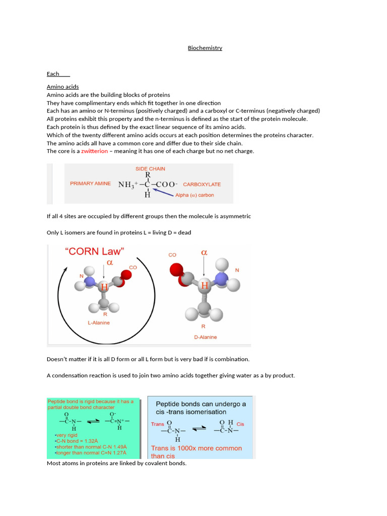 Understanding Amino Acids and Proteins | PDF | Carbohydrates | Glycogen