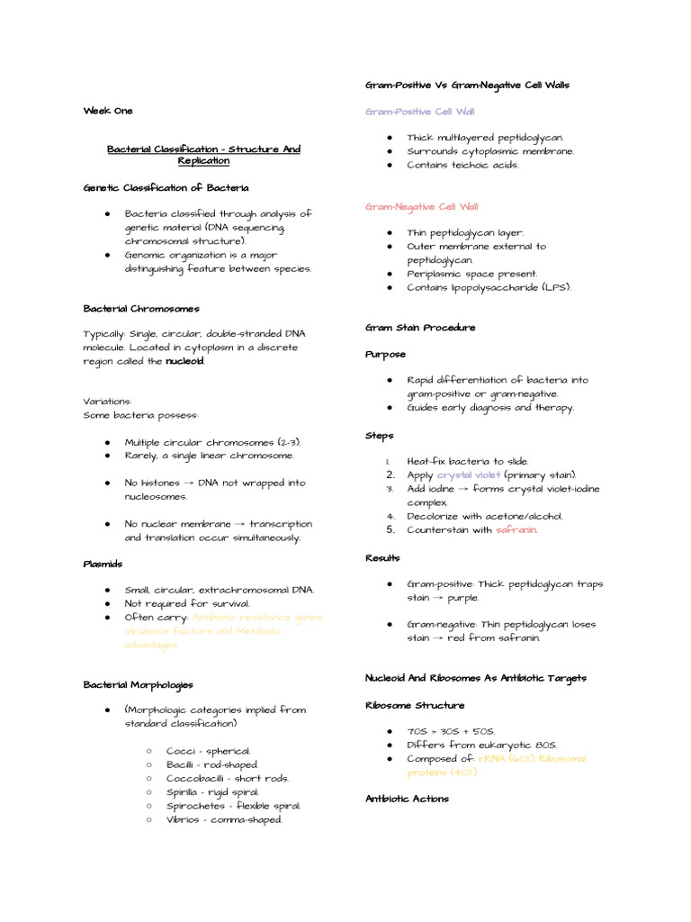 Bacterial Classification and Structure Overview | PDF | Bacteria ...