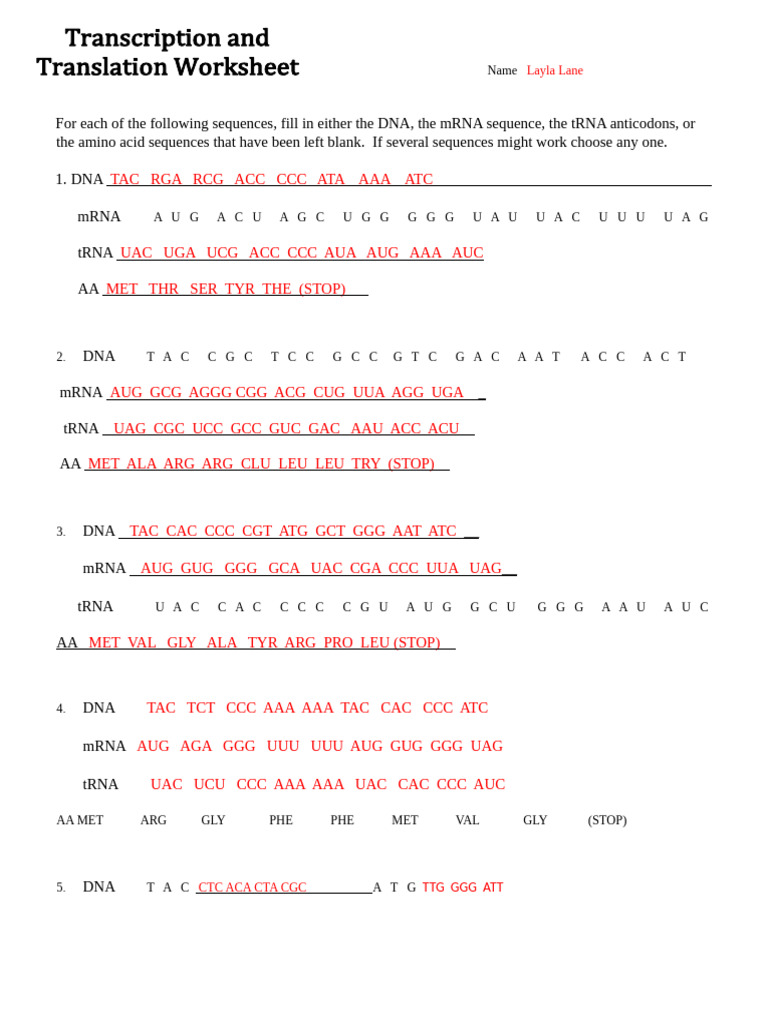 DNA and RNA Sequence Analysis Guide | PDF | Translation (Biology) | Rna