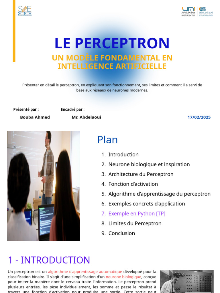 Comprendre le Perceptron en IA | PDF | Apprentissage automatique | Neurone