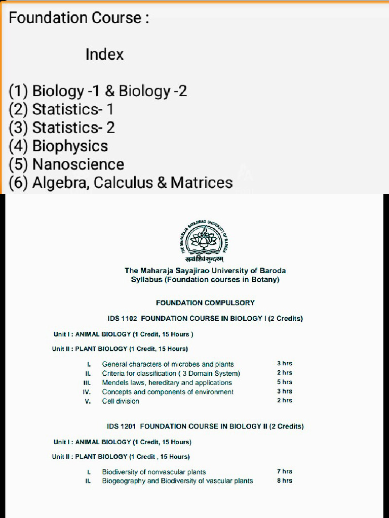 Foundation Syllabus 1 | PDF