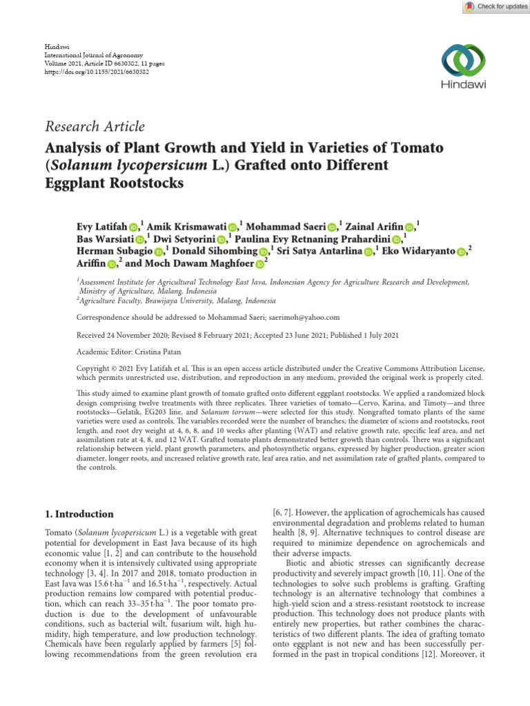 Tomato Growth on Eggplant Rootstocks | PDF | Grafting | Botany