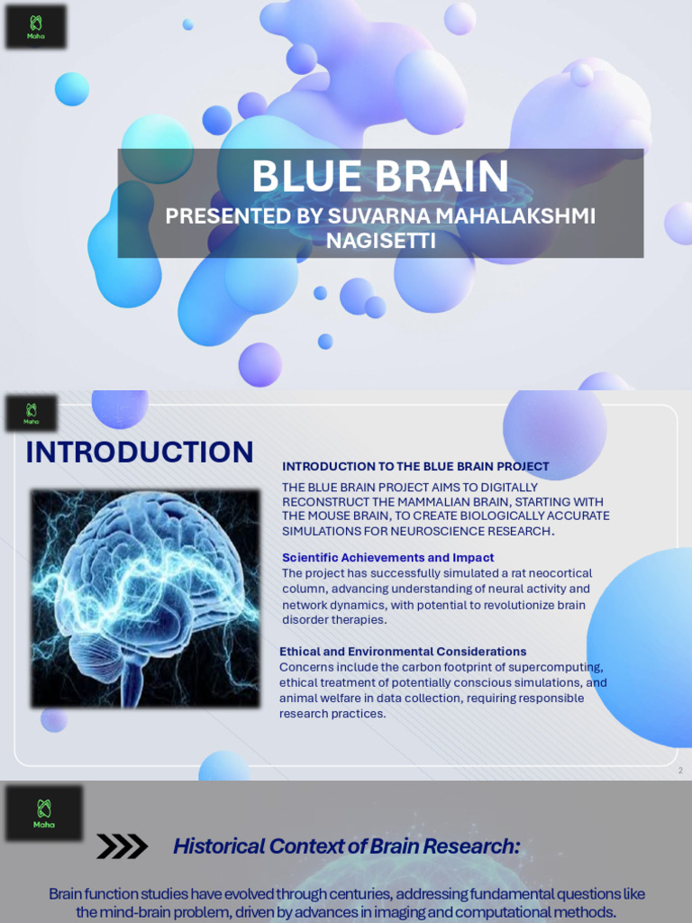 Blue Brain Project: Neuroscience Revolution | PDF