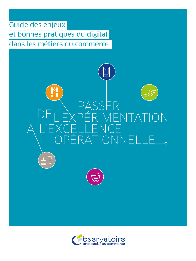 Guide Des Enjeux Et Bonnes Pratiques Du Digital | PDF | Logistique ...