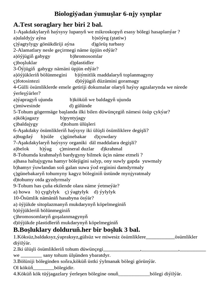 6.synp | PDF