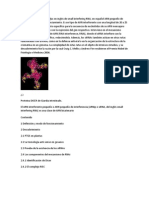 El Nombre siRNA Son Las Siglas en Inglés de Small Interfering RNA