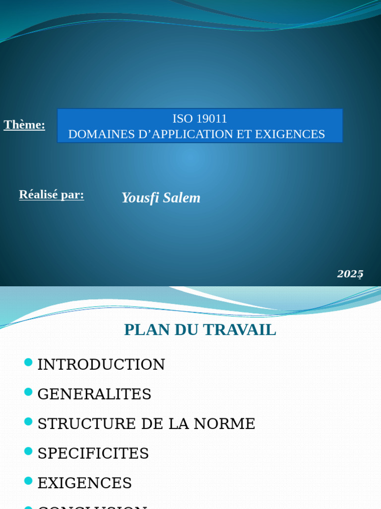 Exigences de la norme ISO 19011 | PDF | Audit | Organisation ...
