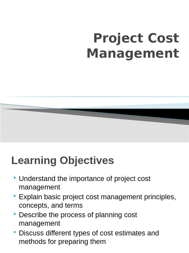 Project Cost Management Essentials | PDF | Business