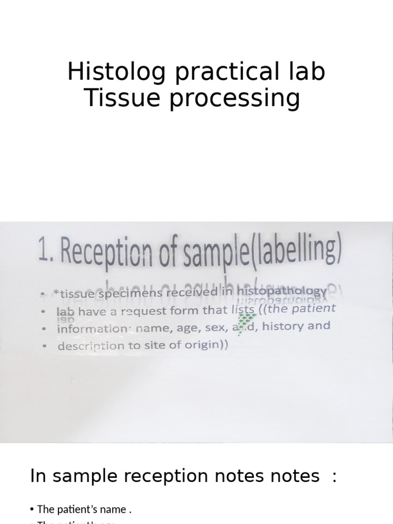Tissue Processing | PDF