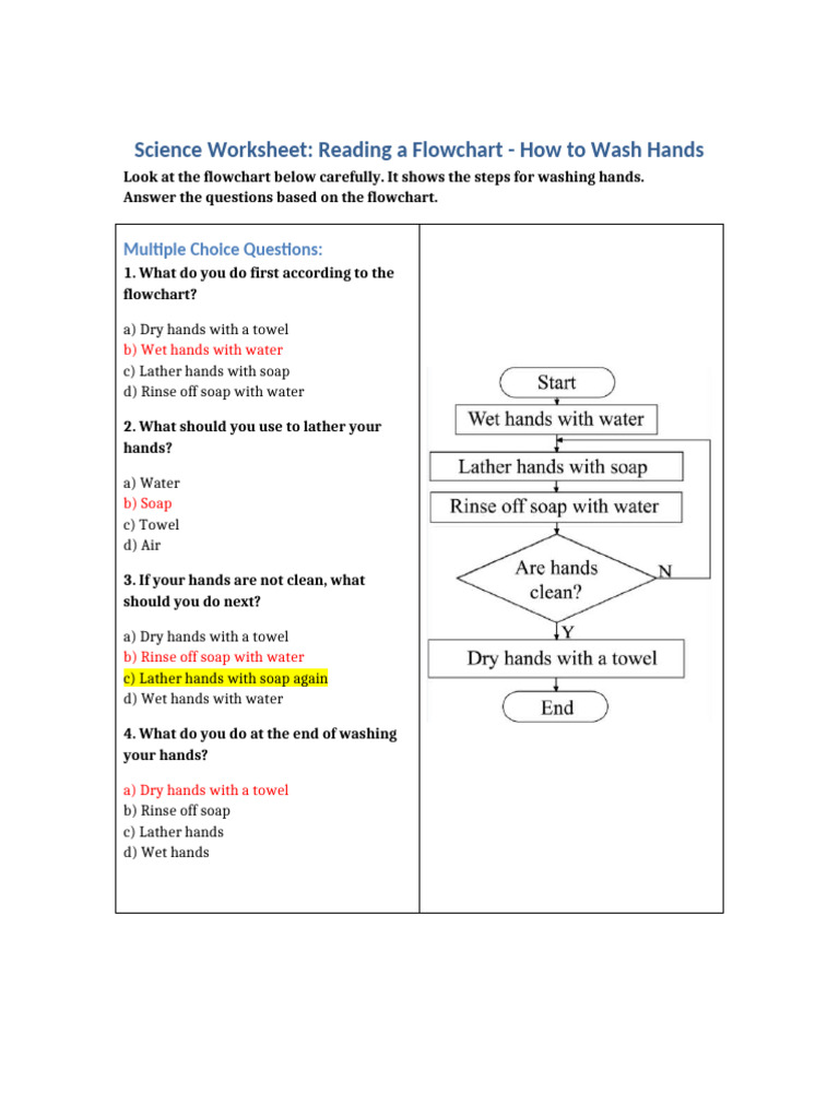 Hand Washing Flowchart Worksheet | PDF