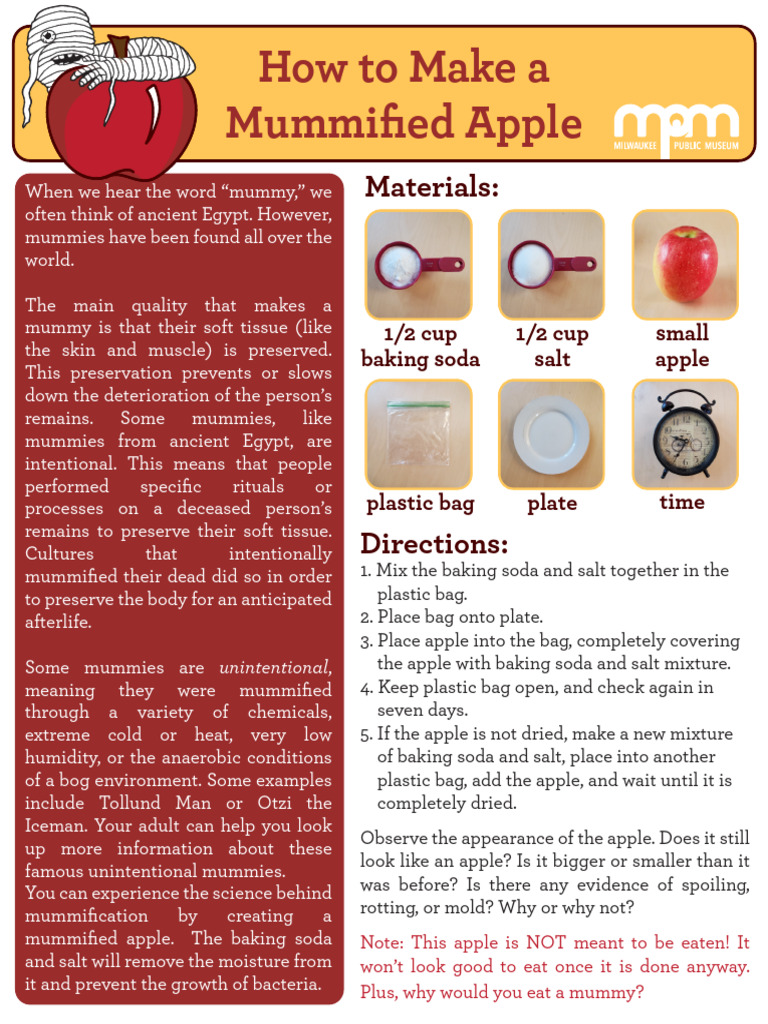 Exploring Mummification: DIY Apple Project | PDF