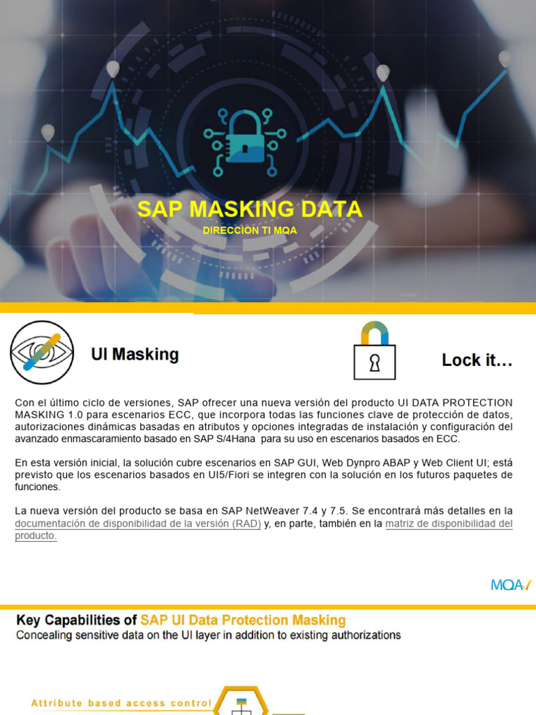 SAP Data Masking: Protección de Datos UI | PDF | Usuario (informática ...