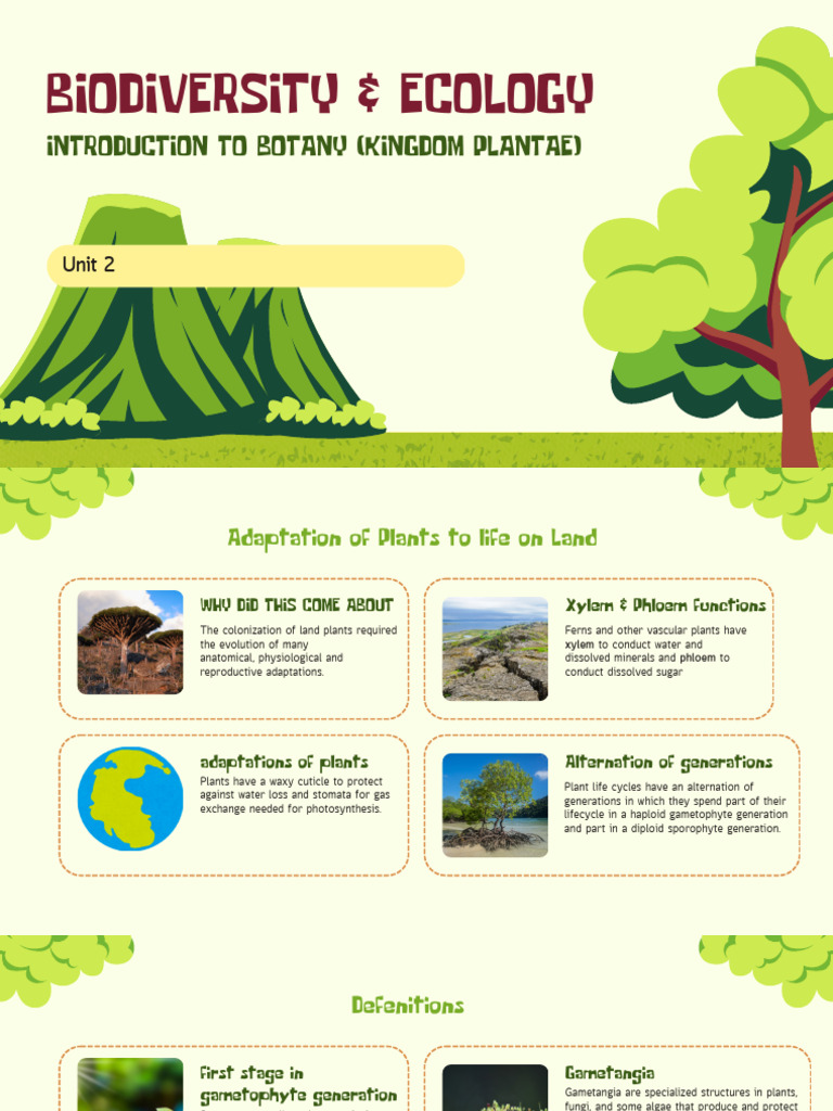 Plant Adaptations and Life Cycles | PDF | Spore | Sexual Reproduction
