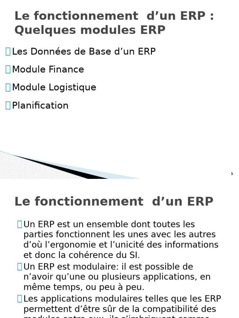 Comprendre le fonctionnement d'un ERP | PDF | Progiciel de gestion ...