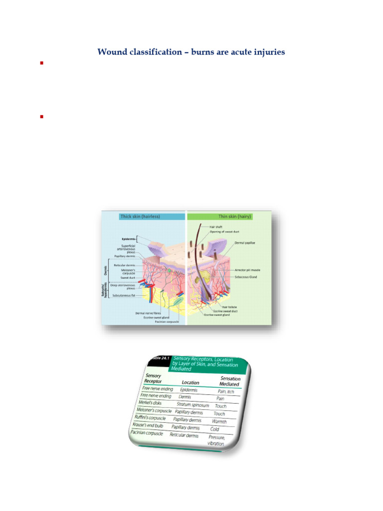 Understanding Burn Wound Classification | PDF | Burn | Wound