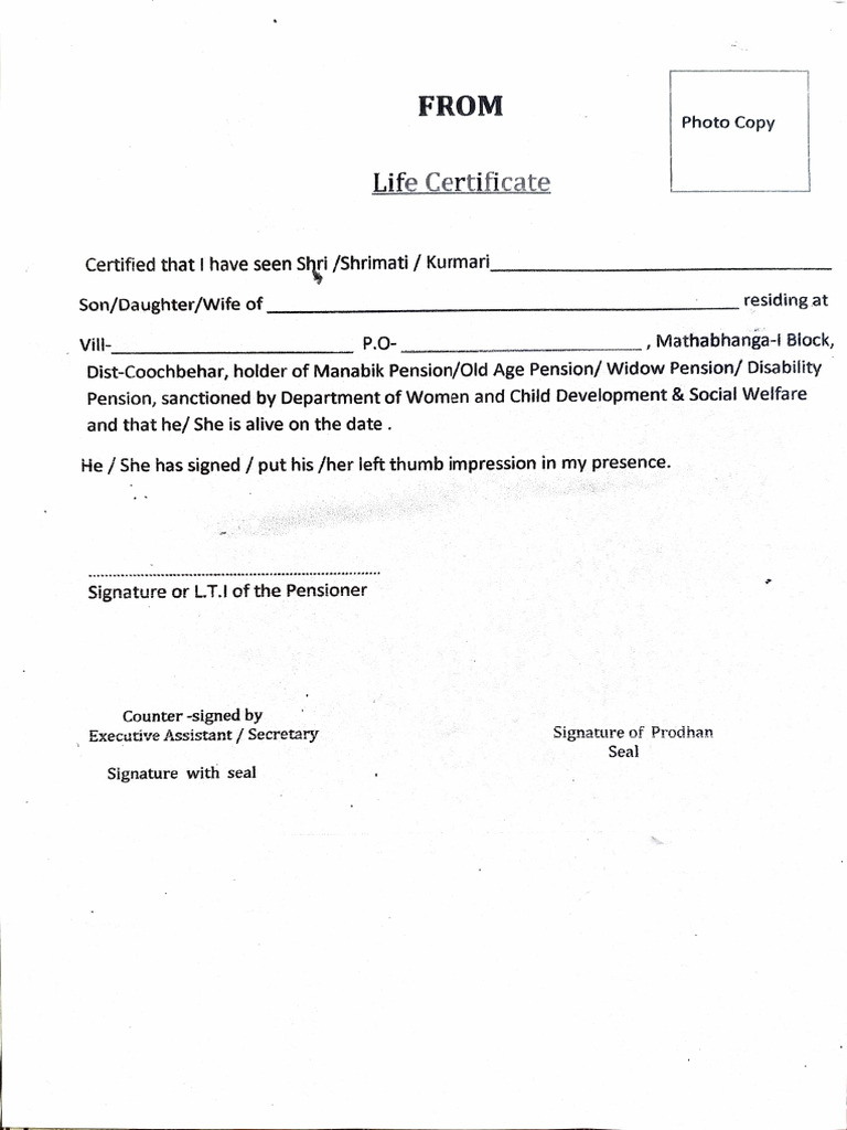 Life Certificate for Pension Verification | PDF
