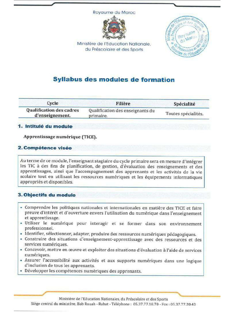 TICE Syllabus Primaire | PDF