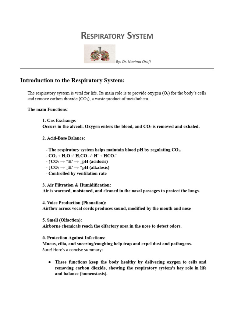 Overview of the Respiratory System | PDF | Respiratory Tract | Lung