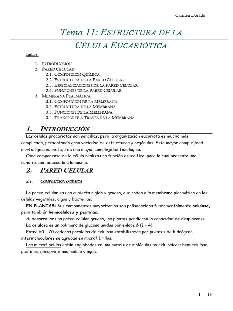 Estructura y Funciones de la Célula Eucariota | PDF | Membrana celular ...