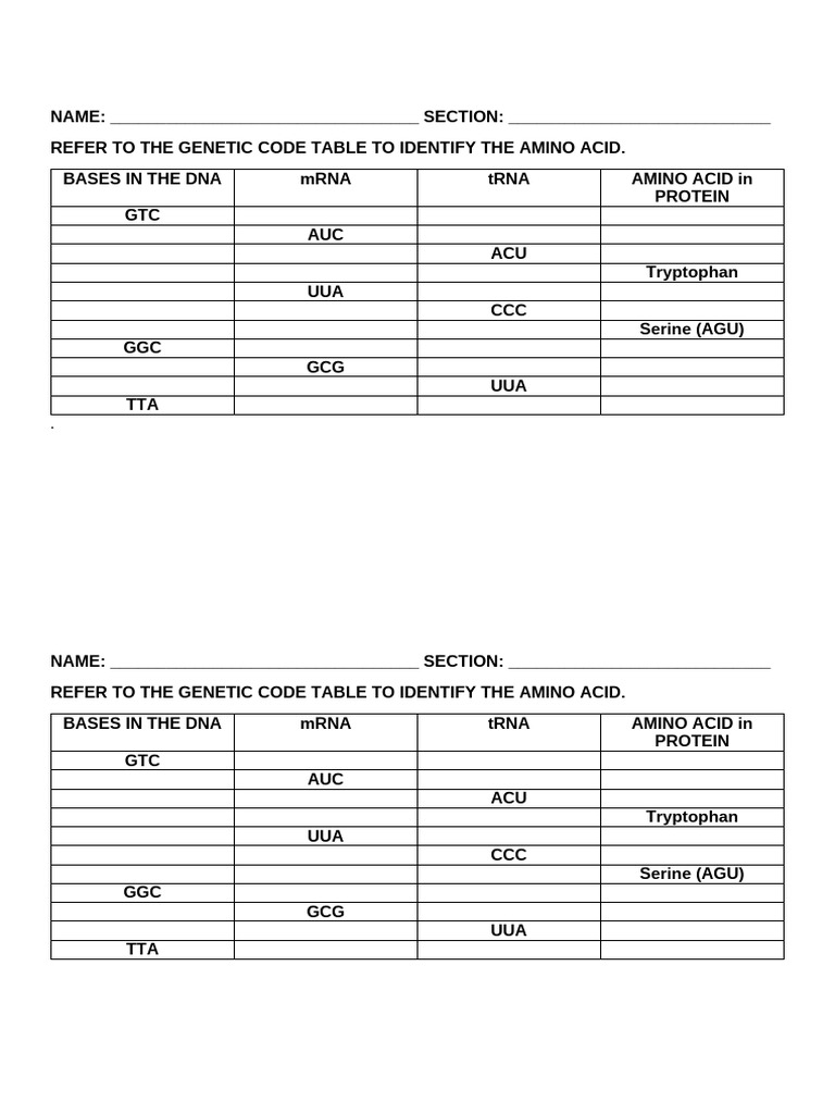 Genetic Code Amino Acid Identification | PDF