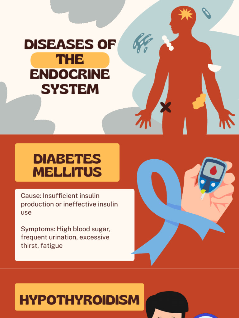 Endocrine System Diseases Overview | PDF