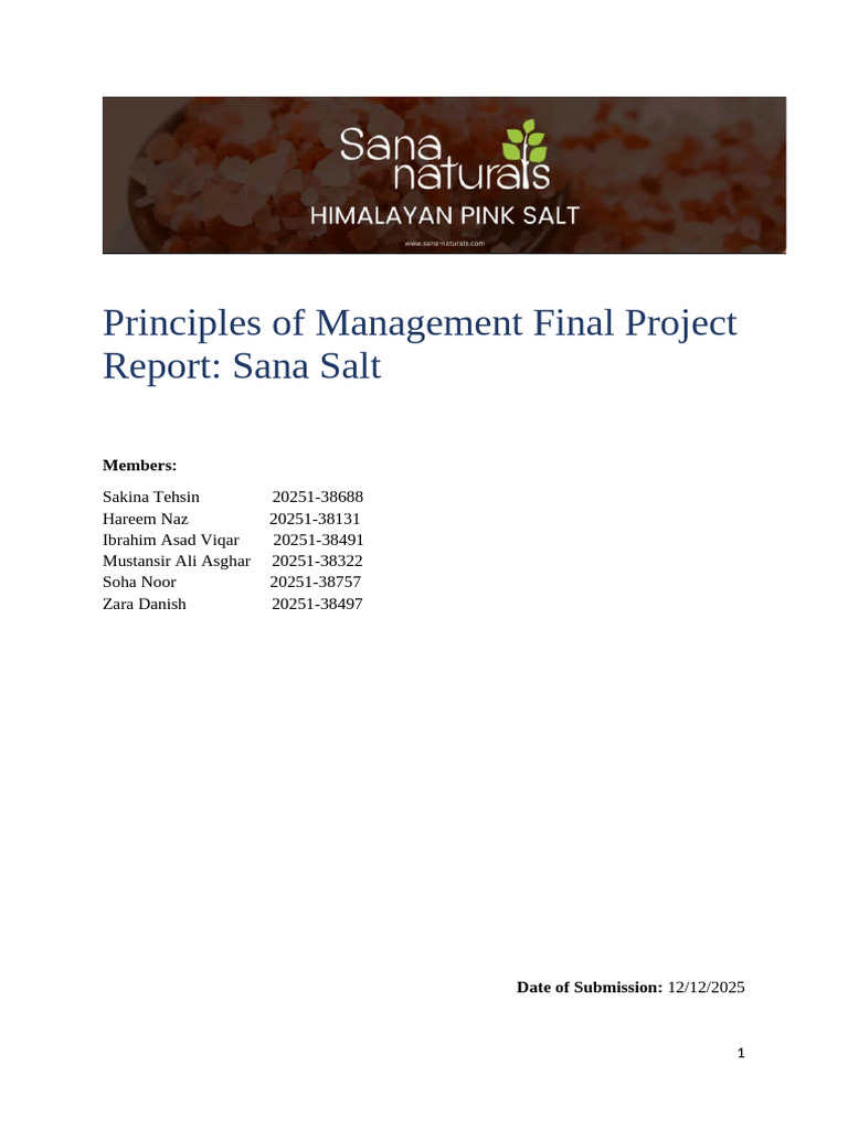 Sana Salt Management Principles Report | PDF | Business | Economies
