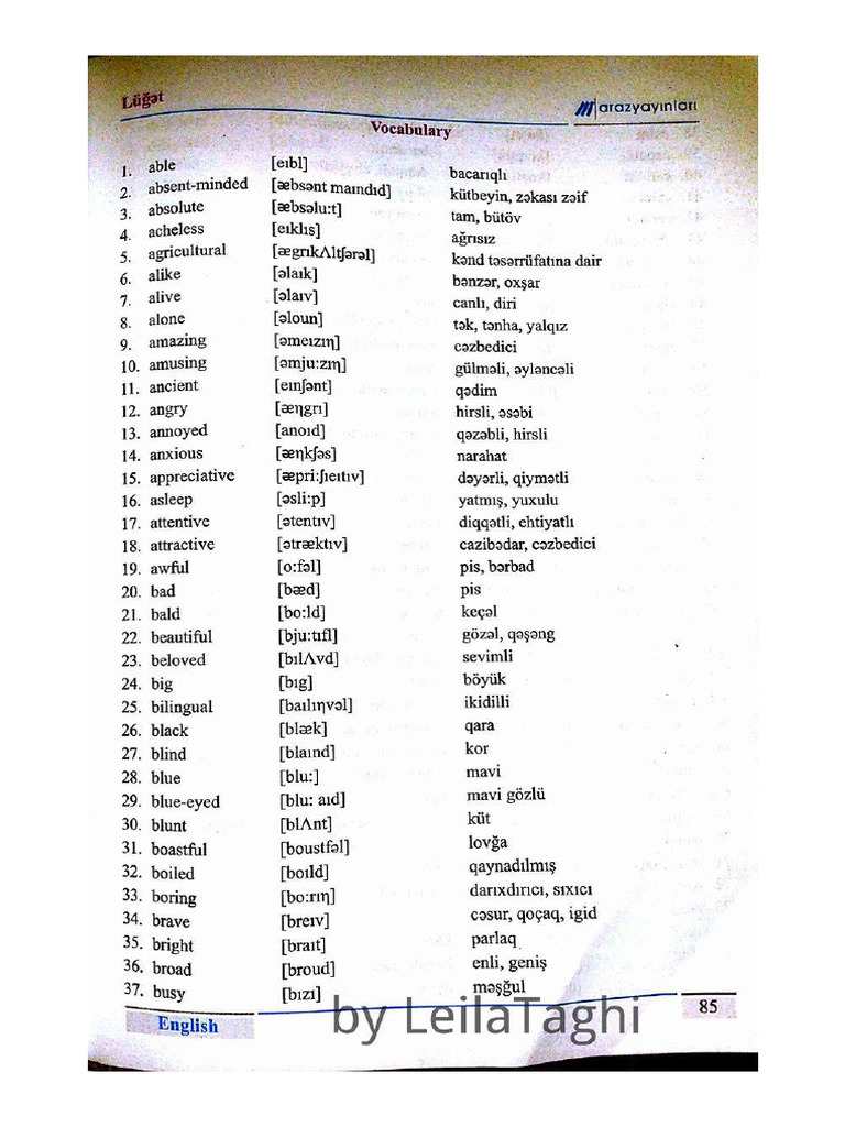 Adjectives | PDF