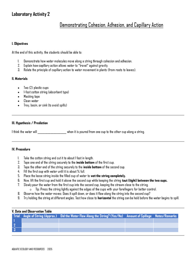 Capillary Action Lab Activity Guide | PDF | Water | Surface Tension