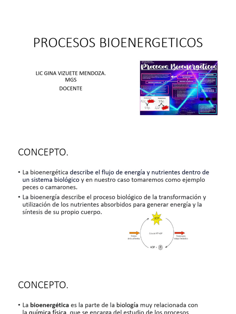 Procesos Bioenergéticos en Metabolismo | PDF | Trifosfato de adenosina ...