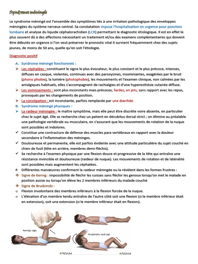 Comprendre le syndrome méningé | PDF | Méningite | Maladies et troubles