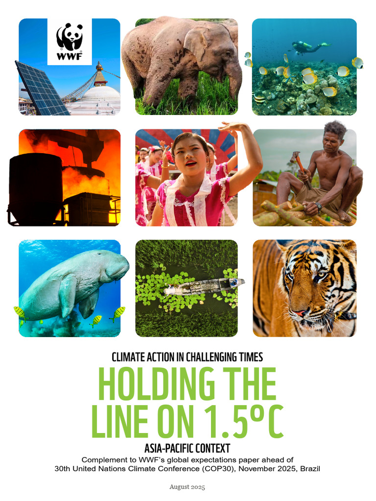 Asia-Pacific Climate Action for COP30 | PDF | Climate Change Mitigation ...
