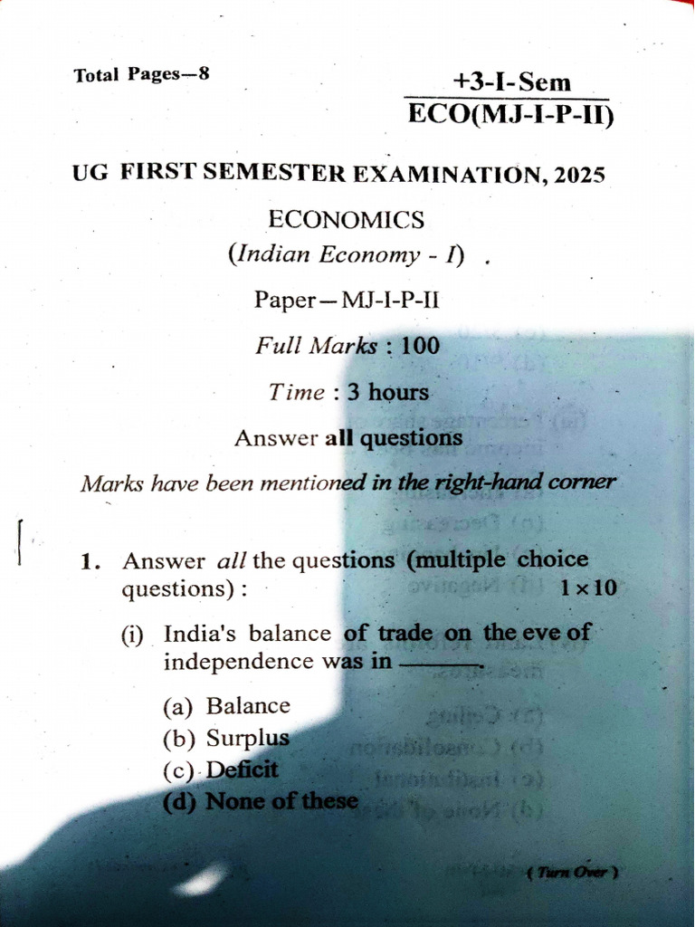 Major Paper 2 | PDF