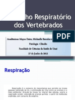 Trabalho Sistema Respiratorio