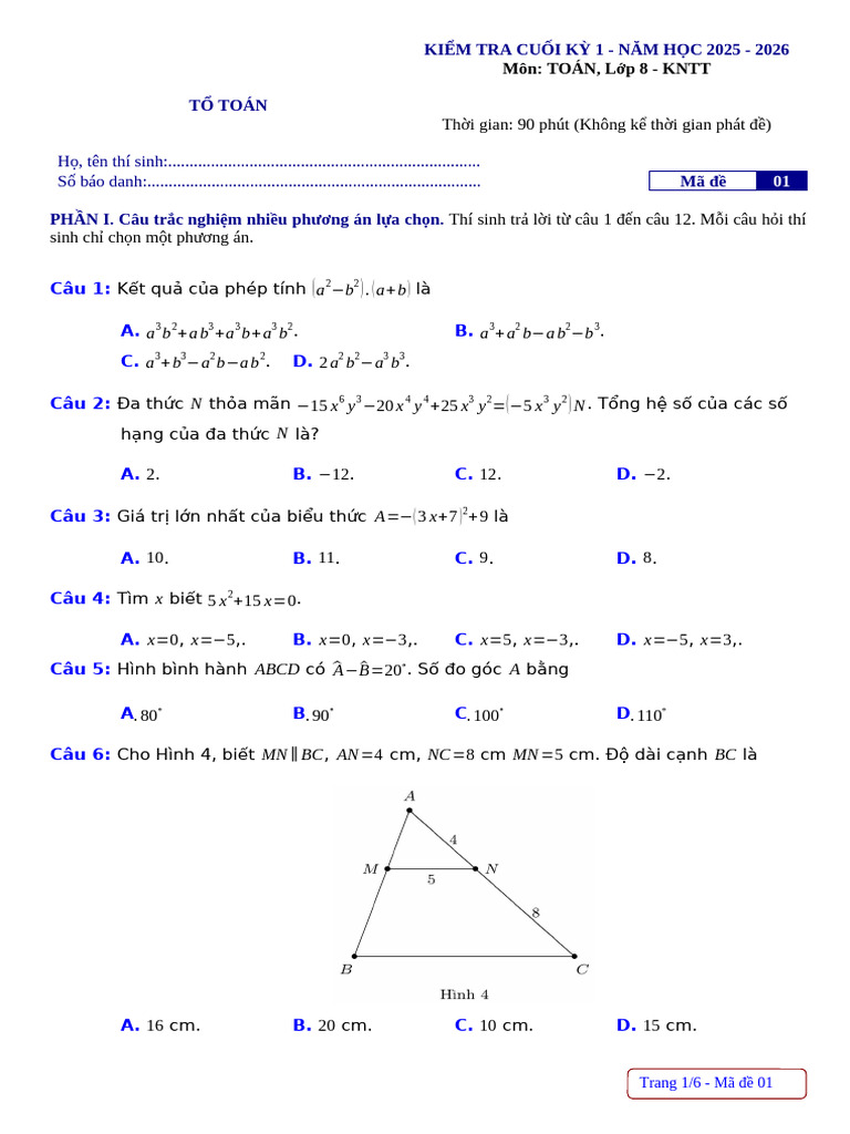 Made 01 - HS | PDF