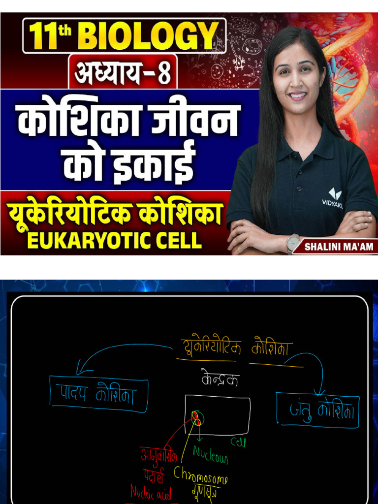 13 Aug 11th Bio CH 8 Part 3 | PDF
