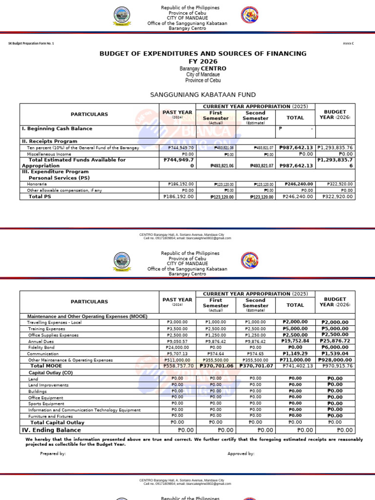 Mandaue City SK Budget FY 2026 | PDF | Budget | Expense