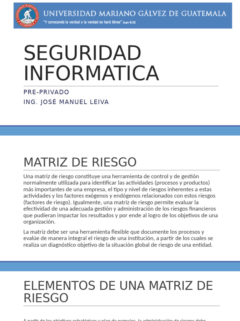 Matriz de Riesgo en Seguridad Informática | PDF
