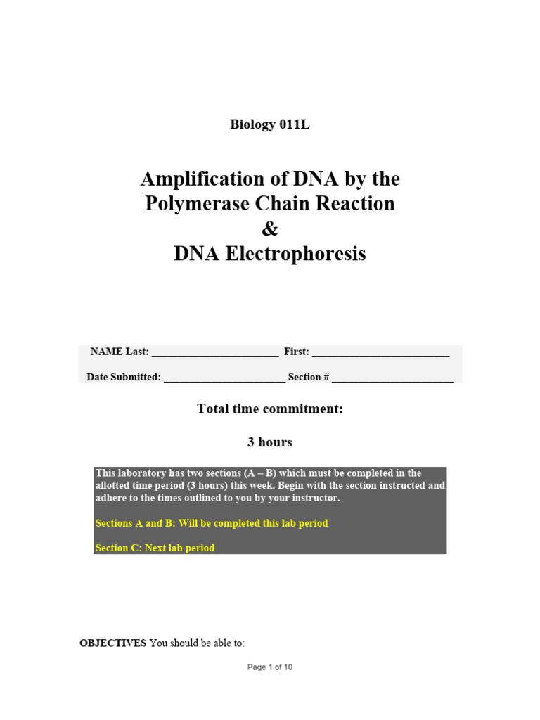 PCR and DNA Electrophoresis Lab Guide | PDF | Gel Electrophoresis ...