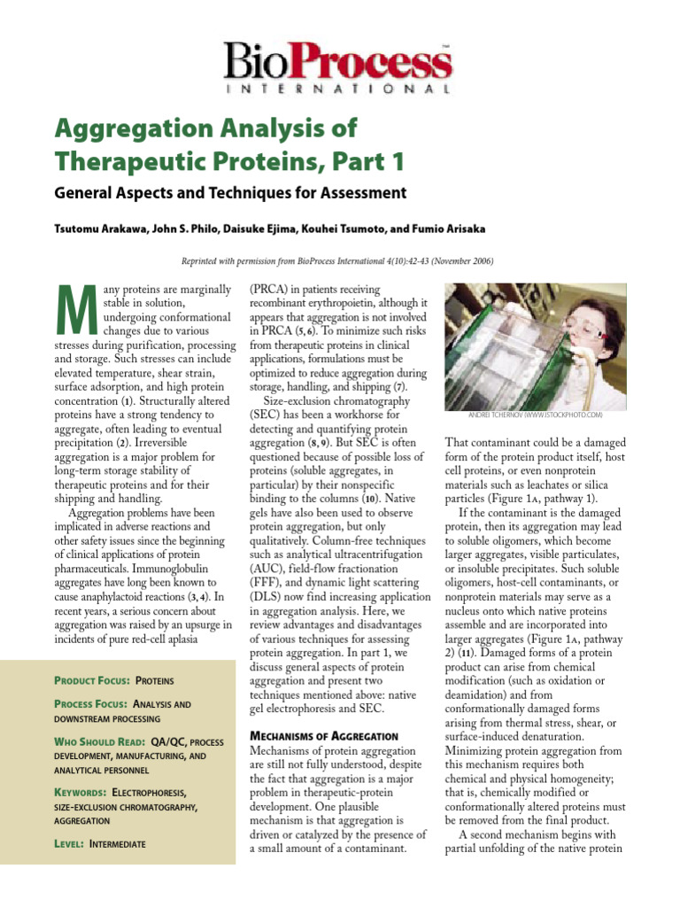Protein Aggregation Analysis Techniques | PDF | Gel Electrophoresis ...