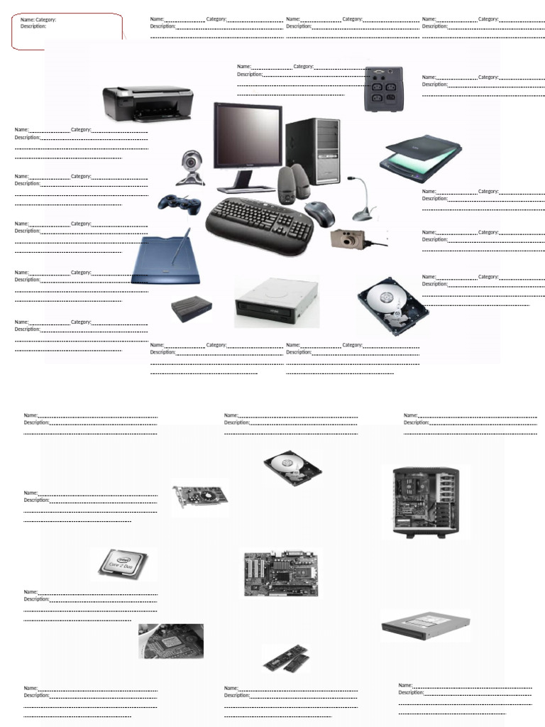 Document with Multiple Categories | PDF