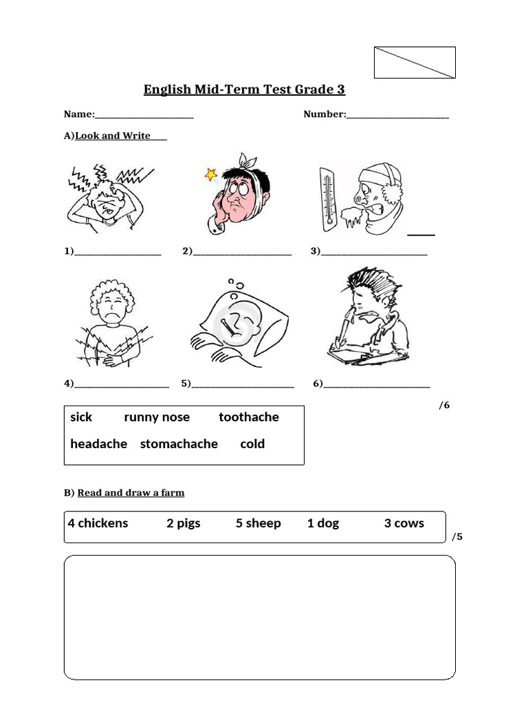 Grade 3 Test Tests 17242 | PDF