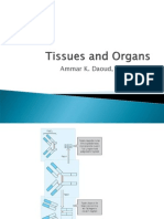 Tissues and Organs
